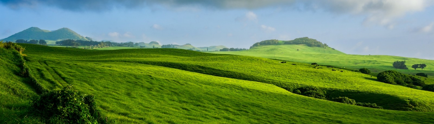 a green hilly landscape