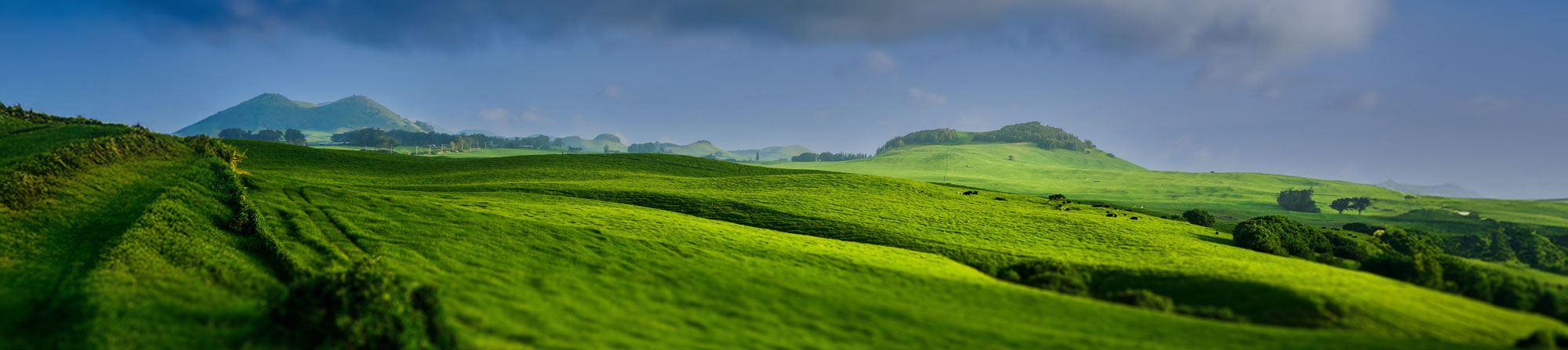 sean-robertson-YF9FxZpoTcs-unsplash_ret_2